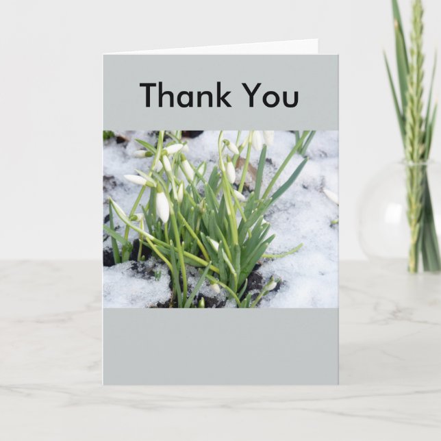 Cartão De Agradecimento Snowdrops In Snow Thank You Card (Frente)