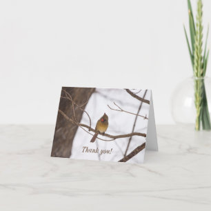 Cartão De Agradecimento Snowing Again Says Mrs Cardinal Thank You Card