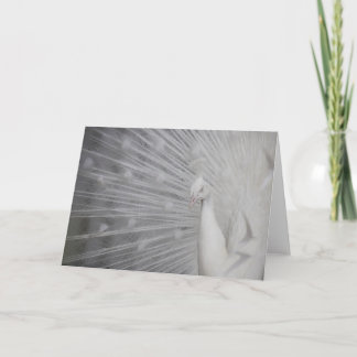 Cartão De Agradecimento SnowPeacock