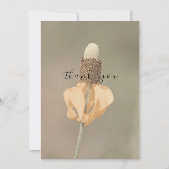 Cartão De Agradecimento Solteiro Pale Orange Wildflower Obrigado (Frente)