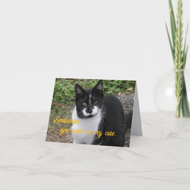 Cartão De Agradecimento Sometimes, you have to try cute. (Frente)