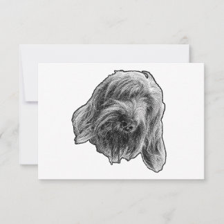 Cartão De Agradecimento Spinone Kind Thanks