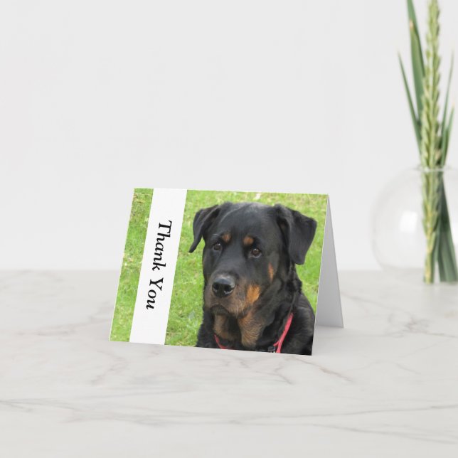 Cartão De Agradecimento Spirit Rottweiler Thank You Note Card (Frente)