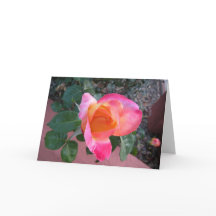 Spring Colors Thank You Card