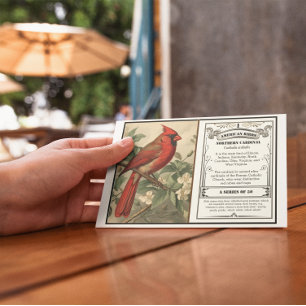 Cartão De Agradecimento State Bird Collection, Cardinal, personalizável