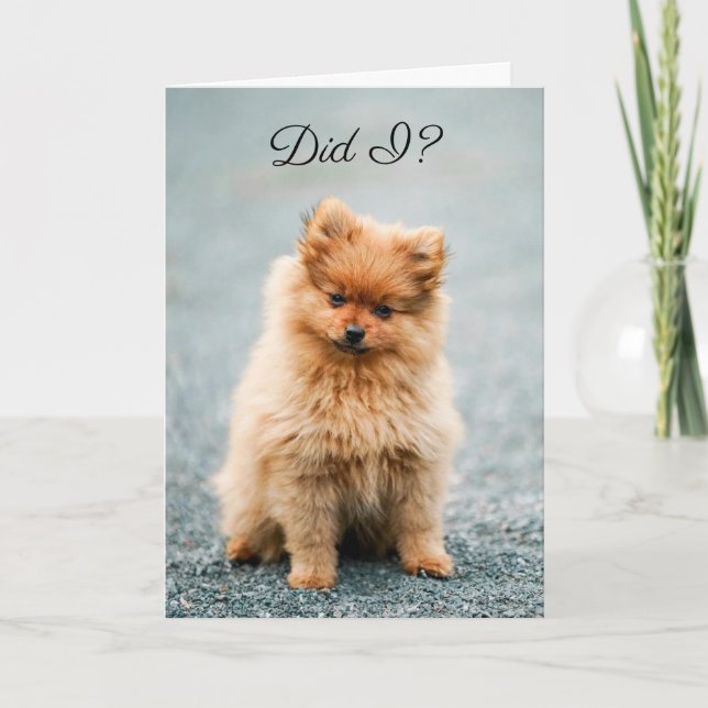 Cartão De Agradecimento Still love me? BELATED BIRTHDAY CARD FOR ANYONE (Frente)