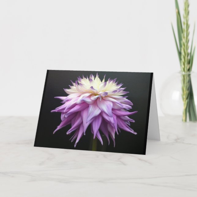 Cartão De Agradecimento Sublime White and Lavender Purple Dahlia (Frente)