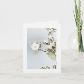 Cartão De Agradecimento Sueños de Puerto Rico