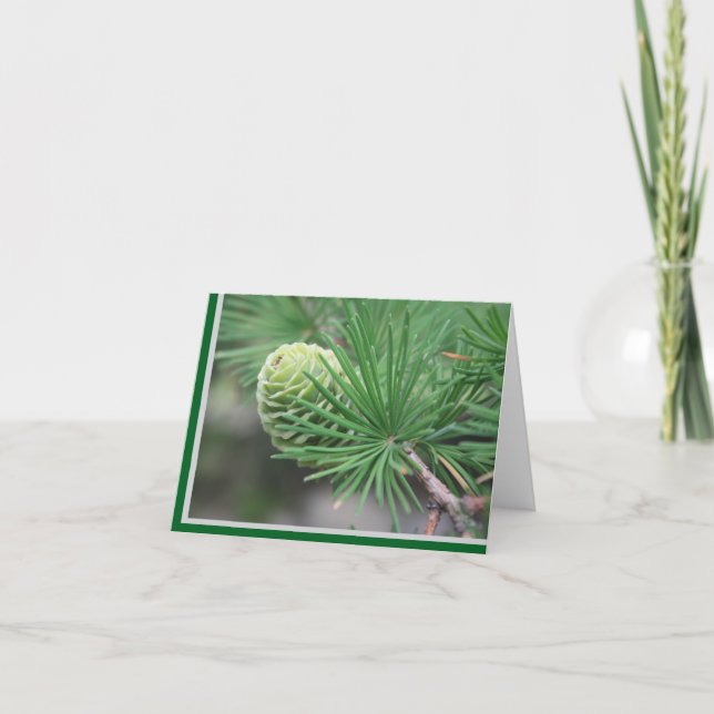 Cartão De Agradecimento Summer Pine Cone Note Card (Frente)