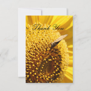Cartão de Agradecimento Sunflower Skipper