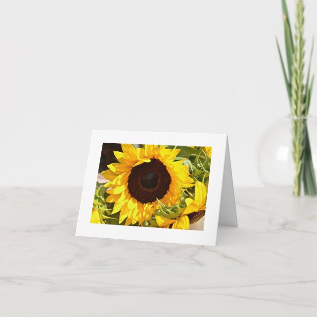 Cartão De Agradecimento Sunflower Thank You Card (Frente)