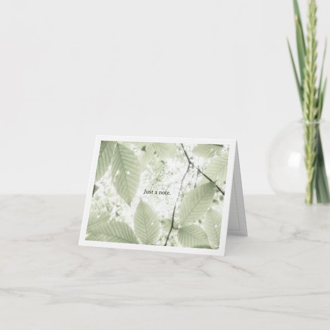 Cartão De Agradecimento Sunlit leaves in New Hampshire (horizontal) (Frente)