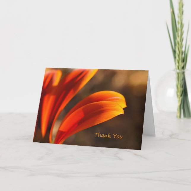 Cartão De Agradecimento Sunny Afternoon Thank You Note Card (Frente)