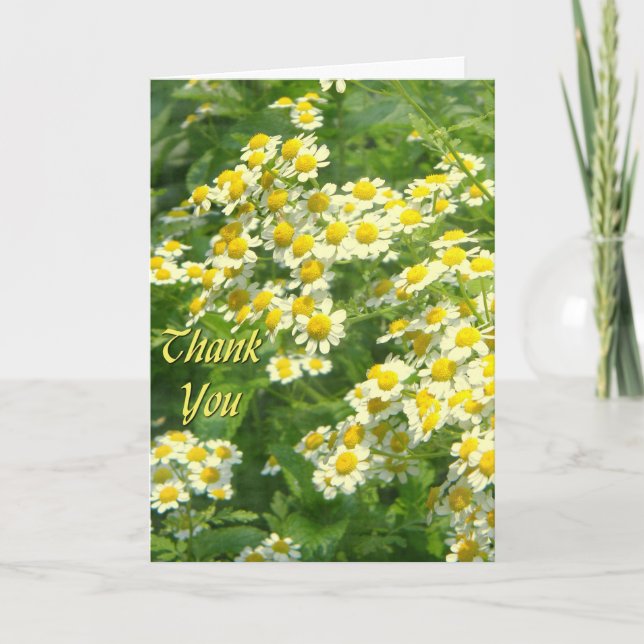 Cartão De Agradecimento Sunshine Obrigado (Frente)