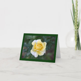Cartão De Agradecimento Suzanne's yellow rose