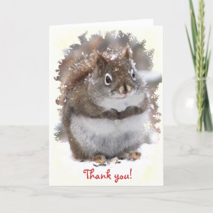 Cartão De Agradecimento Sweet Squirrel Thank You