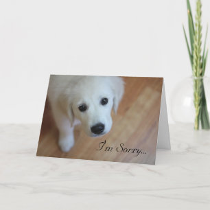 Cartão De Agradecimento Sympathy card, I'm Sorry for...