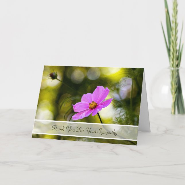 Cartão De Agradecimento Sympathy Thank You Evening Pink Cosmos Wildflower (Frente)
