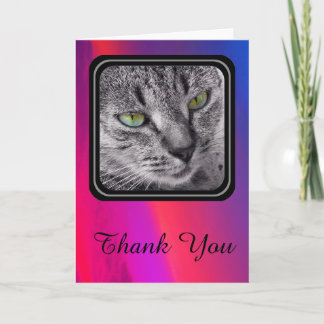 Cartão De Agradecimento Tabby cat Thank You card - dazzling pink