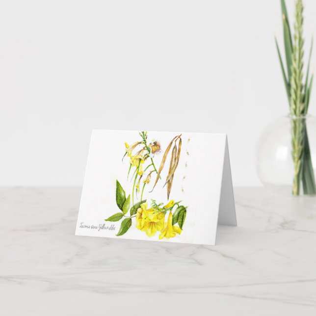 Cartão De Agradecimento Tacoma stans 'ancião amarelo' (Frente)