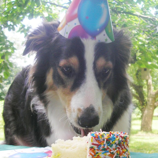 Cartão De Agradecimento "Ter seu bolo e comê-lo também!" (Criador carregado)
