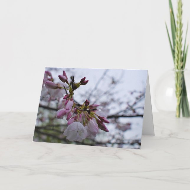 Cartão De Agradecimento Terra Verde (Frente)