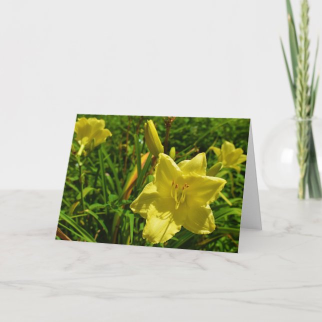 Cartão De Agradecimento Terra Verde (Frente)