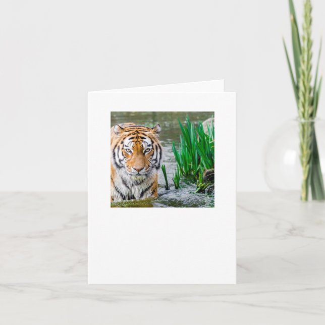 Cartão De Agradecimento teste (Frente)