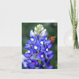 Cartão De Agradecimento Texas Bluebonnet Thank You