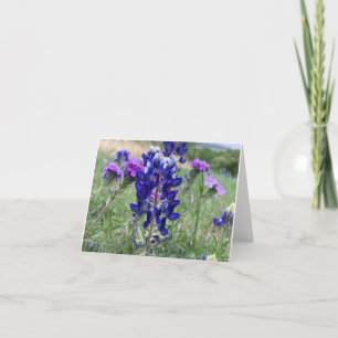 Cartão De Agradecimento Texas Bluebonnets Notecard
