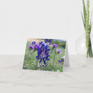 Cartão De Agradecimento Texas Bluebonnets Notecard