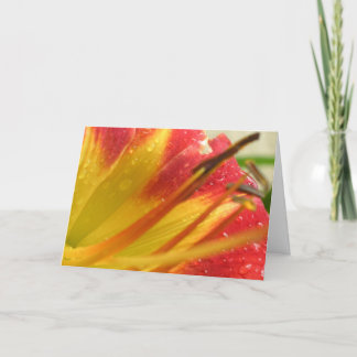 Cartão De Agradecimento Thank You