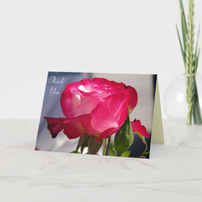 Cartão De Agradecimento Thank You/ Any Occasions_Card (Frente)