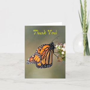 Cartão De Agradecimento Thank You, Blank, Monarch Butterfly