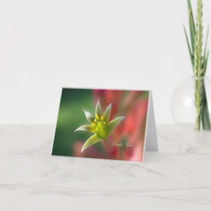 Cartão De Agradecimento Thank You Blank Note Card