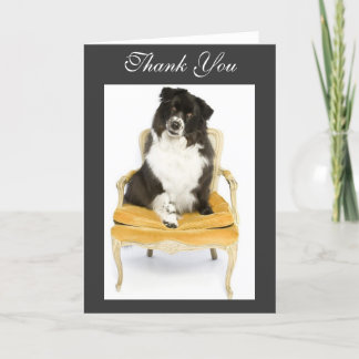 Cartão De Agradecimento Thank You Border Collie