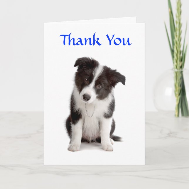Cartão De Agradecimento Thank You Border Collie Puppy Greeting Card (Frente)