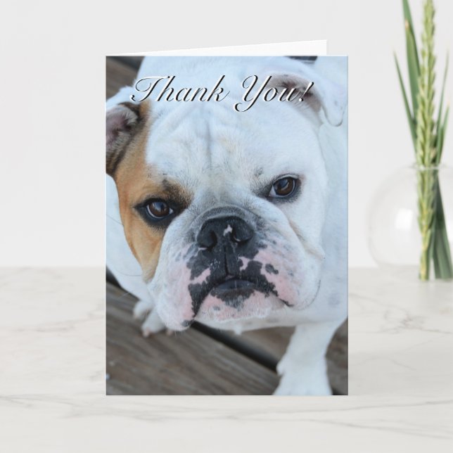 Cartão De Agradecimento Thank you bulldog greeting card (Frente)