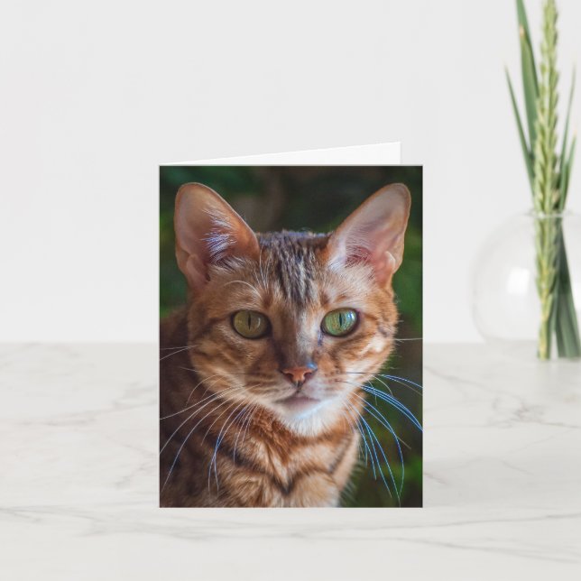 Cartão De Agradecimento Thank You Card (Frente)