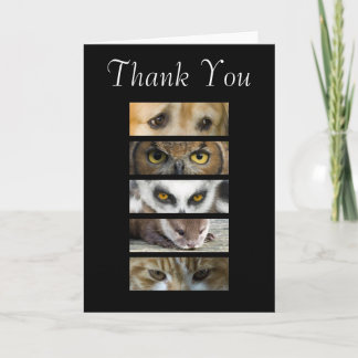 Cartão De Agradecimento Thank You Card - Animals Eyes