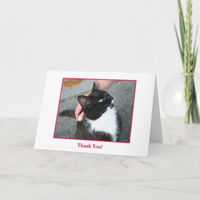 Cartão De Agradecimento Thank You Card, blank inside. (Frente)