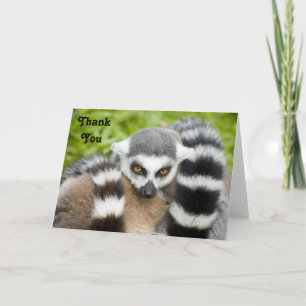 Cartão De Agradecimento Thank You Card - Cute Lemur Stripey Tail