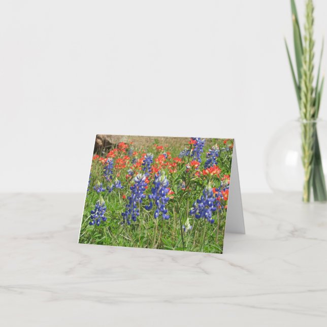 Cartão De Agradecimento Thank you card featuring Texas Bluebonnets (Frente)