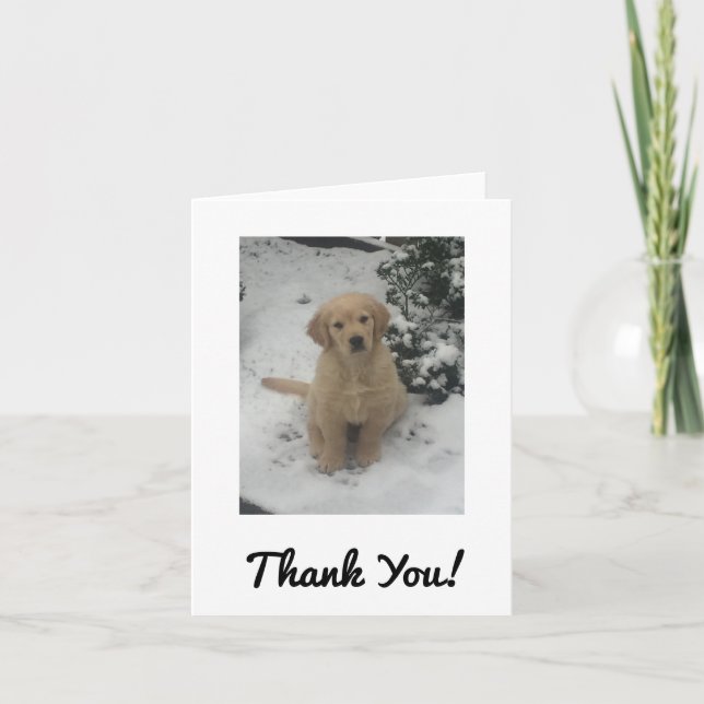 Cartão De Agradecimento Thank You Card - Festive Golden Retriever. (Frente)