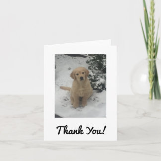 Cartão De Agradecimento Thank You Card - Festive Golden Retriever.