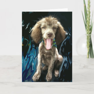 CARTÃO DE AGRADECIMENTO THANK YOU CARD, FUNNY