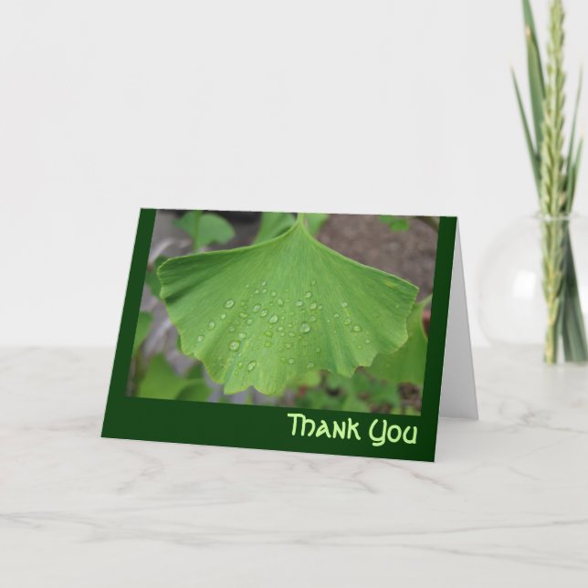Cartão De Agradecimento Thank you card - ginko biloba (Frente)