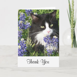 Cartão De Agradecimento Thank You Card Tuxedo Cat in Texas Bluebonnets