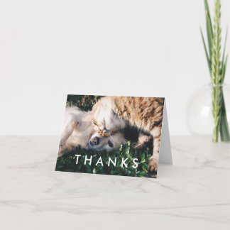 Cartão De Agradecimento Thank You Card with Cat and Dog