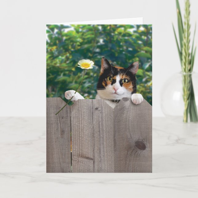 Cartão De Agradecimento Thank You Cat Card Funny Cute Adorable Best (Frente)